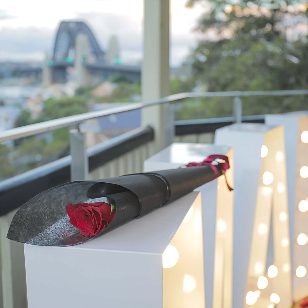top 10 proposal destinations