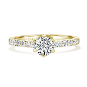 Round Brilliant Solitaire with Diamond Shoulder Engagement Ring