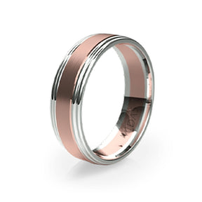 Polished Ring with Double Tiered Borders Wedding Band